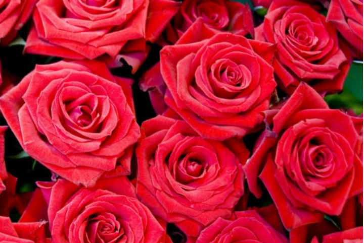 七夕告白信，請簽收