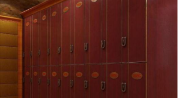 浴室全塑更衣柜：浴室更衣柜有什么材質(zhì)？浴室更衣柜電子感應(yīng)鎖好不好？