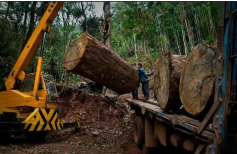 【新中式家具定制】中式家具選購、陳設(shè)、保養(yǎng)全攻略！