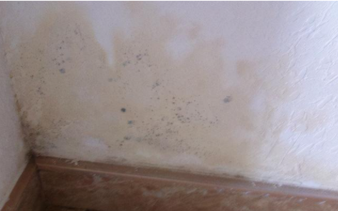 【翻新墻面除霉】墻面返潮是什么原因？墻面返潮怎么處理